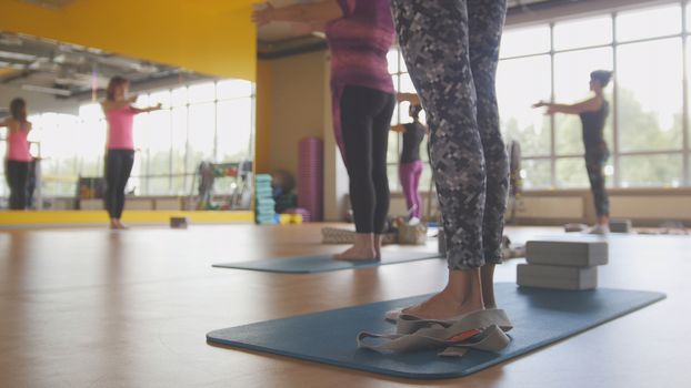 Group of young women working out in fitness class, close up