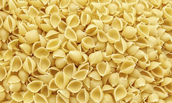 Pasta shells with additional texture and details, top view, close-up