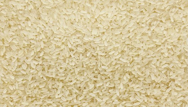 Steamed long grain rice - texture and details - traditional food, closeup