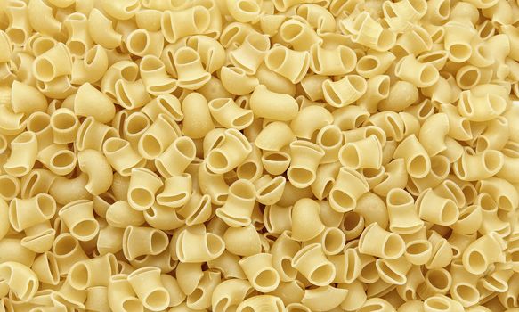 Italian paste - macaroni snail conquelioni - food grocery, close up