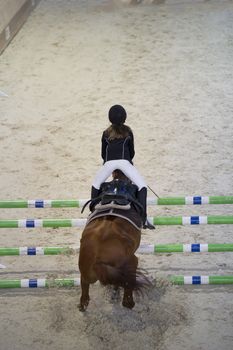 Young child girl rider jumping on the horse over obstacle at show jumping competition, telephoto shot