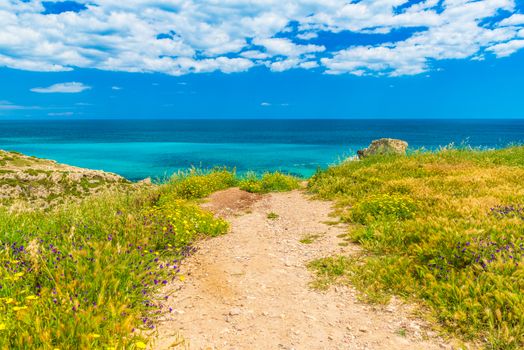 Picturesque road to the sea coast. Beautiful landscape with turquoise water, deep blue sky with clouds, grass and blooming flowers