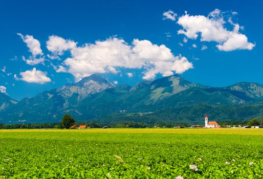 Alpine meadow with flowers. Mountains covered with forest and old lonely Church in the green field. Landscape in sunny summer day. Slovenia.