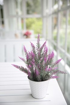 purple flower in jar