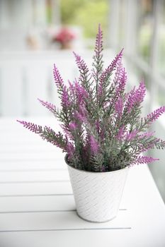 purple flower in jar