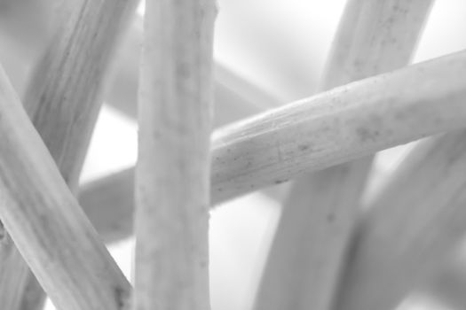 Creating artistic colored background from macro shot of dried woven vegetal fiber microscope photography