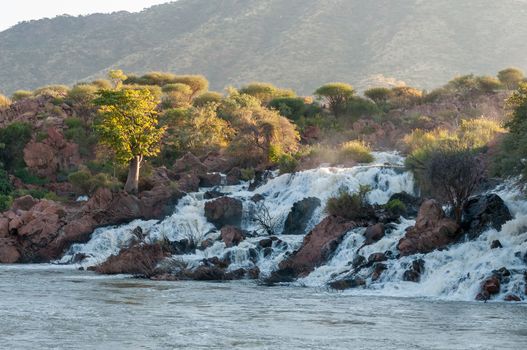 Part of the Epupa waterfalls in the Kunene River. A baobab tree is visible