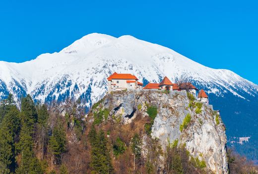Old medieval castle on the rock against the snowy mountains and the blue sky, Lake Bled, Slovenia