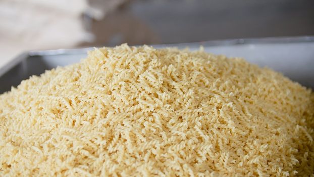 Raw macaroni from a conveyor belt at the pasta manufactury, close up