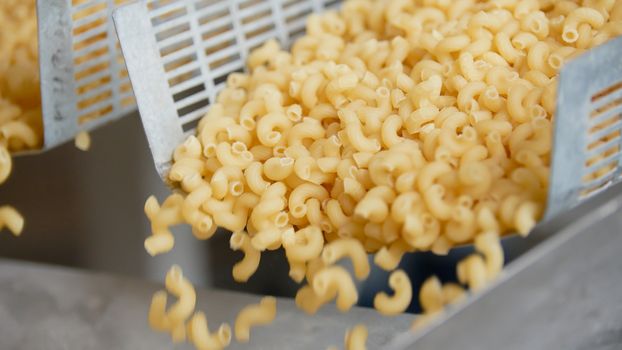 pasta manufactury production line - finished product, close up