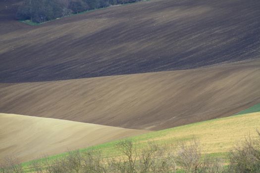 Spring time in Moravia Tuscany, South Moravian wine region