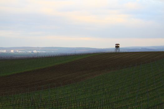 Spring time in Moravia Tuscany, South Moravian wine region