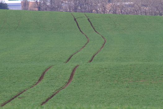 Spring time in Moravia Tuscany, South Moravian wine region