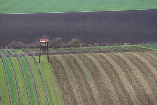 Spring time in Moravia Tuscany, South Moravian wine region