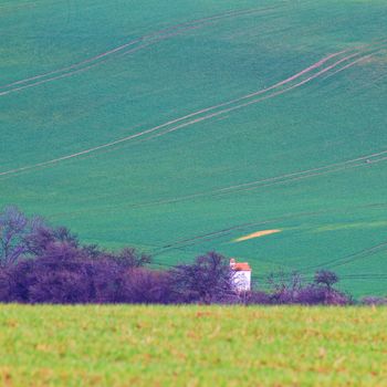 Spring time in Moravia Tuscany, South Moravian wine region