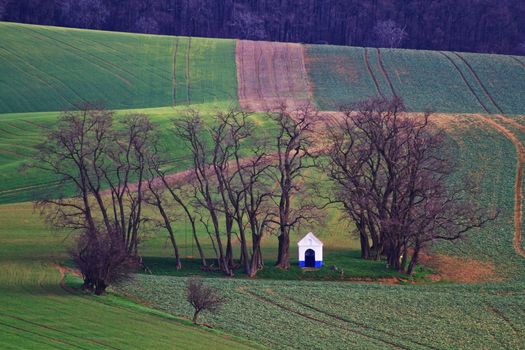 Spring time in Moravia Tuscany, South Moravian wine region