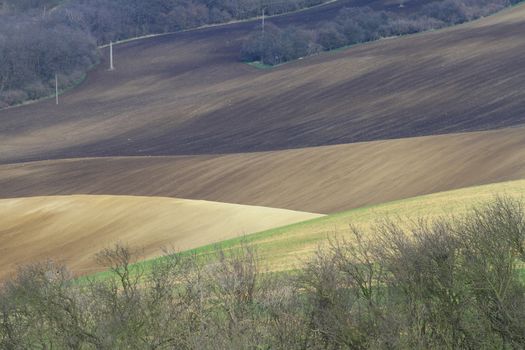 Spring time in Moravia Tuscany, South Moravian wine region