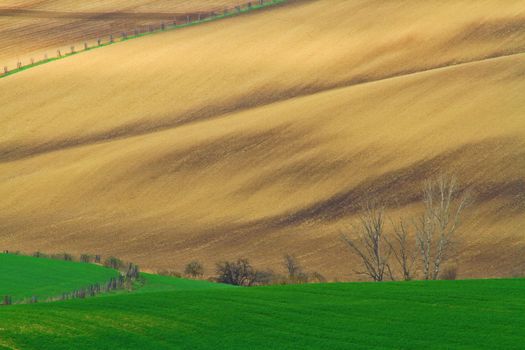 Spring time in Moravia Tuscany, South Moravian wine region