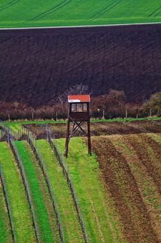 Spring time in Moravia Tuscany, South Moravian wine region