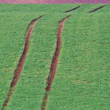 Spring time in Moravia Tuscany, South Moravian wine region