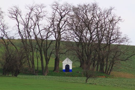 Spring time in Moravia Tuscany, South Moravian wine region