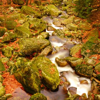 water in motion in autumn forest