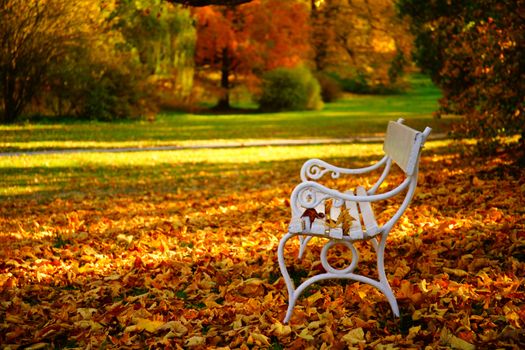 white bench - Autumn in Stirin Castle Park near Prague, Czech Republic