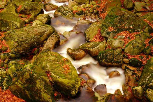 water in motion in autumn forest