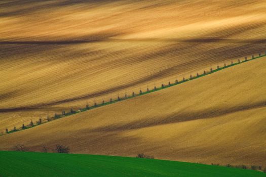 Spring time in Moravia Tuscany, South Moravian wine region