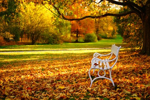 white bench - Autumn in Stirin Castle Park near Prague, Czech Republic