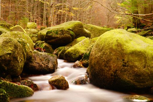 water in motion in autumn forest