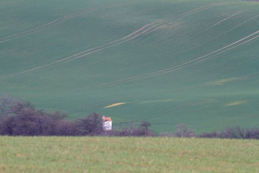 Spring time in Moravia Tuscany, South Moravian wine region