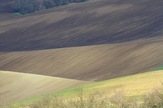 Spring time in Moravia Tuscany, South Moravian wine region