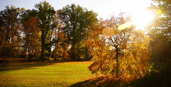 Autumn in Stirin Castle Park near Prague, Czech Republic