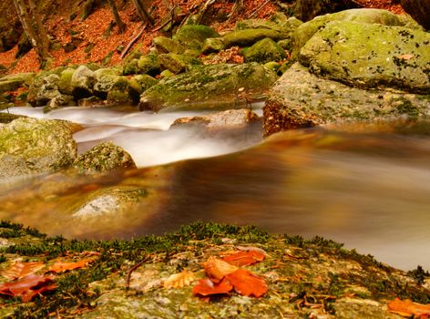 water in motion in autumn forest