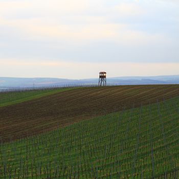 Spring time in Moravia Tuscany, South Moravian wine region