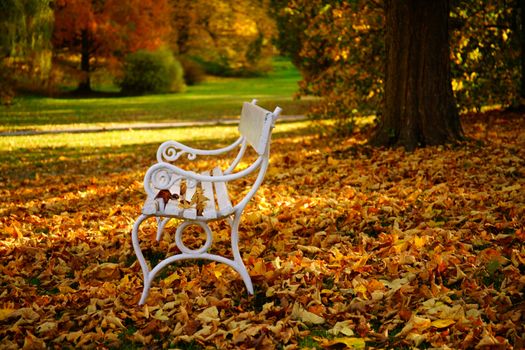 white bench - Autumn in Stirin Castle Park near Prague, Czech Republic