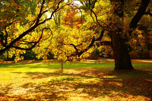 Autumn in Stirin Castle Park near Prague, Czech Republic