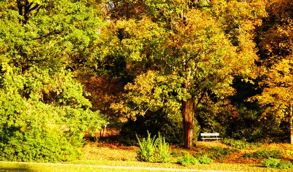 white bench - Autumn in Stirin Castle Park near Prague, Czech Republic