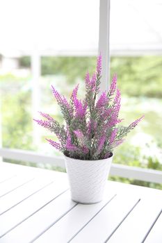 purple flower in jar