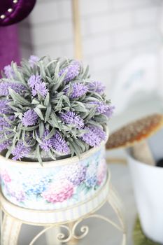 purple flower in jar