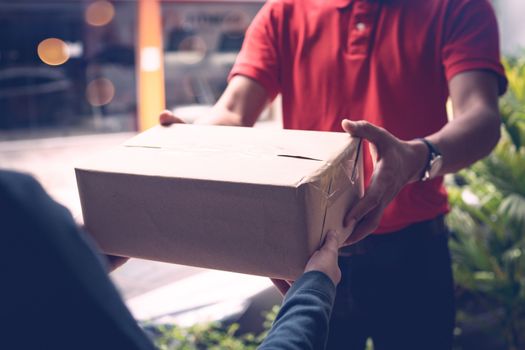 Delivery man send bag of vegetables and food to customers