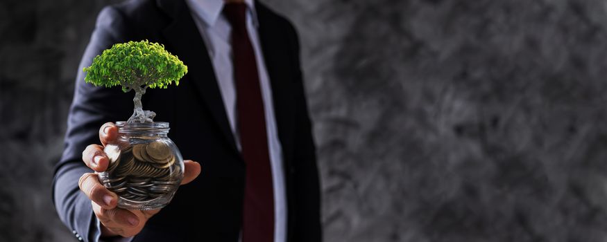 businessman holding jar of coin with small tree growing up