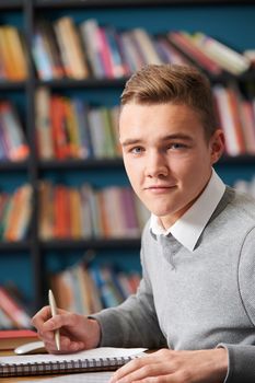 Male Teenage Student Working In Library