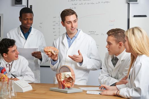 Teacher With Model Of Brain In Biology Class