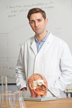 Portrait Of Biology Teacher In Classroom