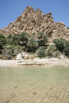 River (with turquoise water) coming from the canyon of Wadi Bani Khalid and going to the main village, Oman