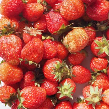 strawberry (Fragaria x ananassa) fruit vegetarian food