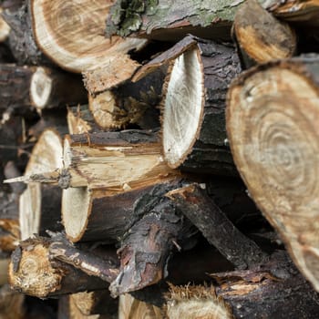 Natural wooden background. Extreme closeup of chopped firewood. Firewood stacked and prepared for winter. Pile of wood logs.