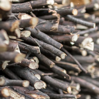 Natural wooden background. Extreme closeup of chopped firewood. Firewood stacked and prepared for winter.